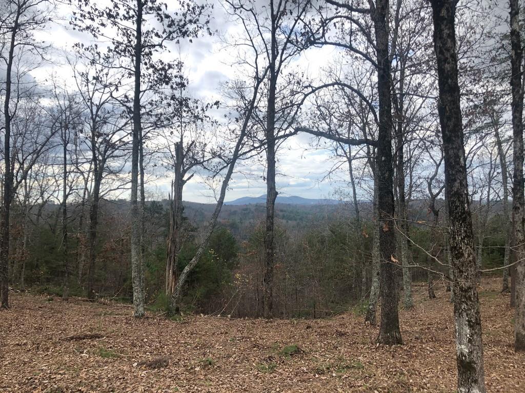 [Address Hidden by Seller], Talking Rock, GA 30175