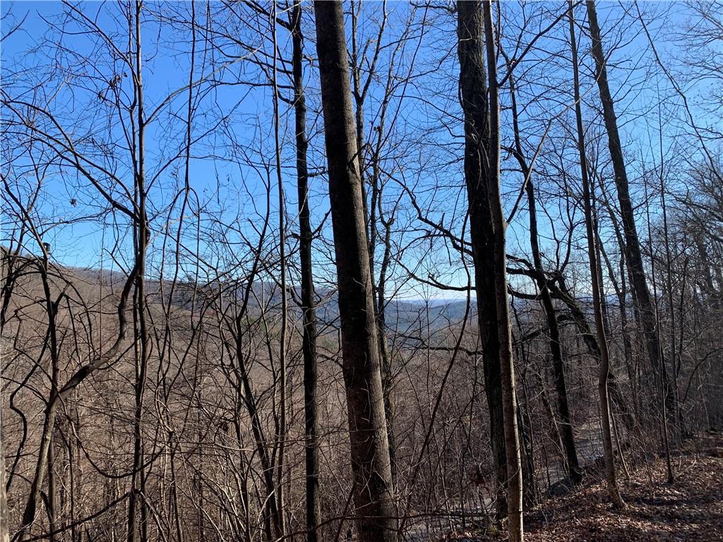 [Address Hidden by Seller], Dahlonega, GA 30533