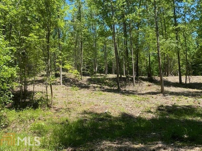 1053 Riverstone Dr., Monroe, GA 30655