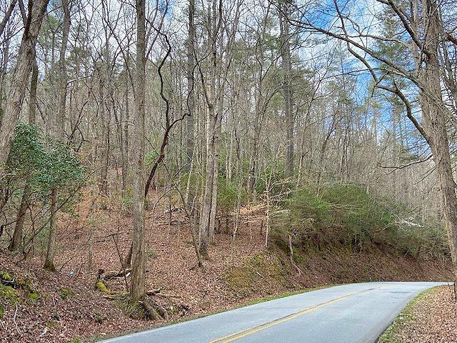 Clay Creek Falls (21+/- Ac) Rd., Dahlonega, GA 30533