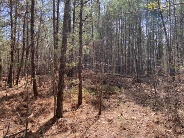 [Address Hidden by Seller], Dallas, GA 30132