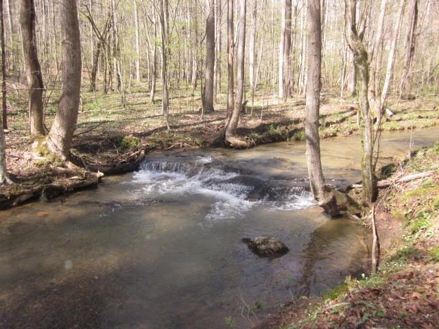 Tr 3 Jones Mountain Rd., Talking Rock, GA 30175