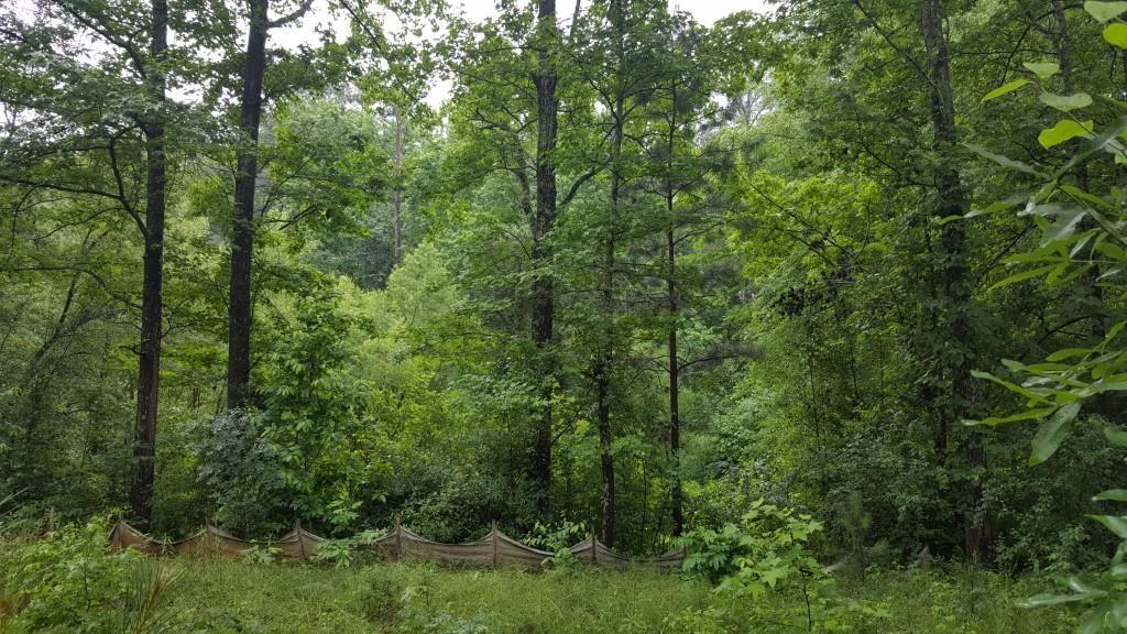 4851 Adams Rd., Dunwoody, GA 30338