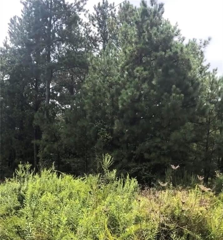 Lot 71 Pine Valley Rd., Adairsville, GA 30103