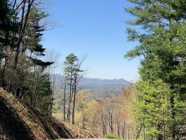 Oceola Dr., Ellijay, GA 30540