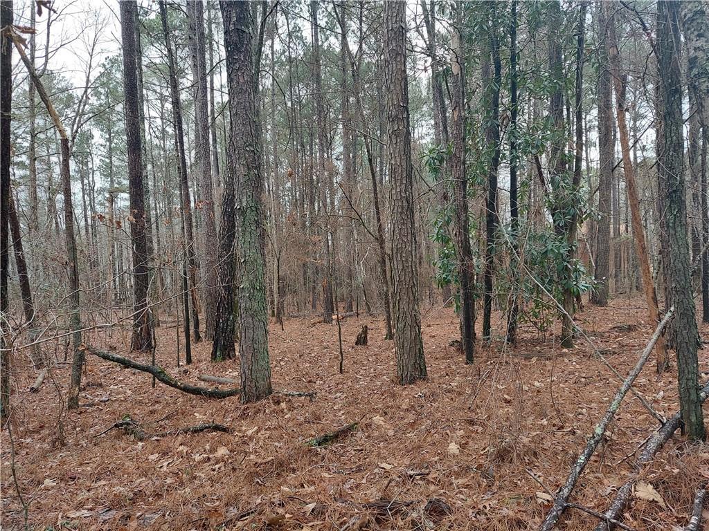 Noahs Ark Rd., Jonesboro, GA 30236