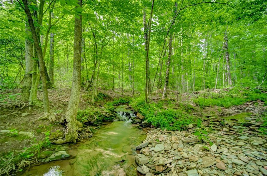 4250 Highway 136, Jasper, GA 30143