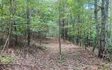 Shady Grove Church Rd., Talking Rock, GA 30175