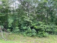 Four Mile Church Rd., Ball Ground, GA 30107
