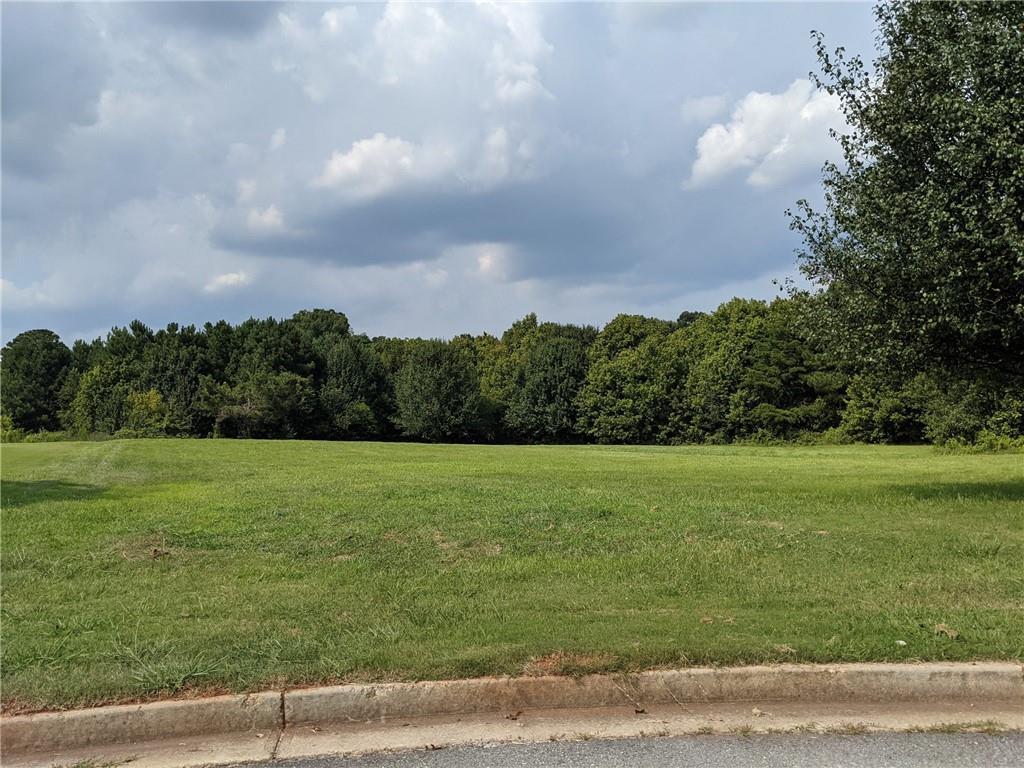 1475 Ivy Plantation, Monroe, GA 30656