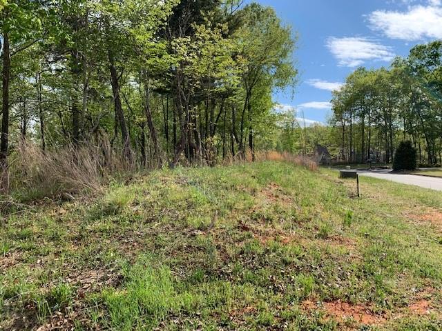 Crestline Dr., Dawsonville, GA 30534