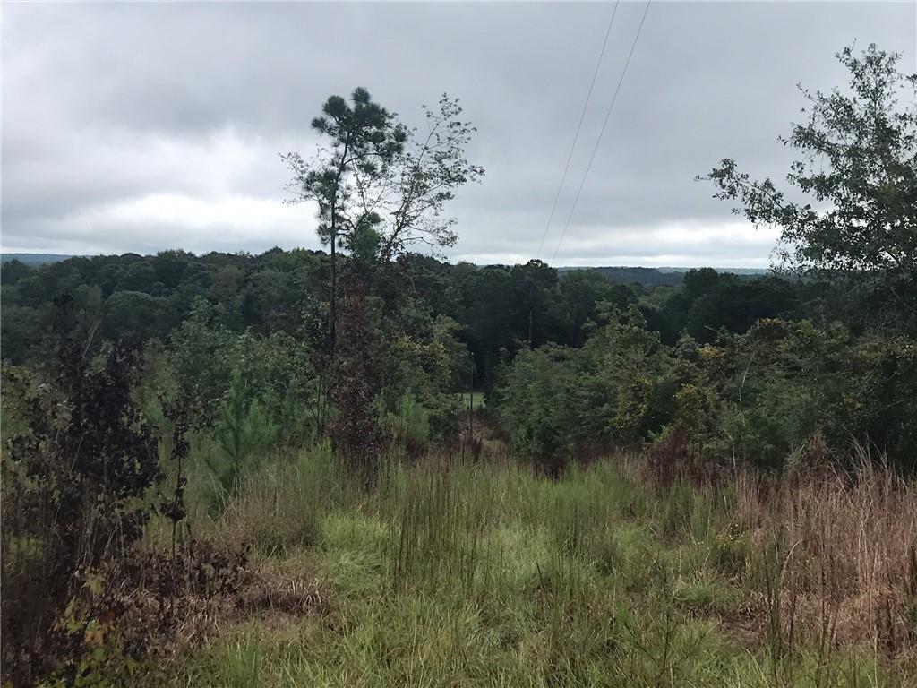 3081 Powell Church Rd., Talbotton, GA 31827