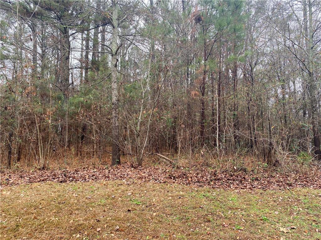 2351 Rockwell Dr., Buford, GA 30519