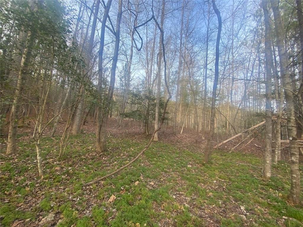 Wildwood Ln., Blairsville, GA 30512