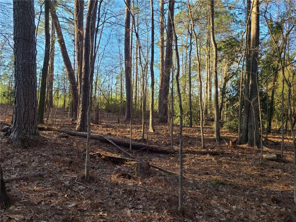 3141 Evans Mill Rd., Lithonia, GA 30038