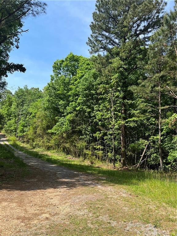 271 Pleasant Valley Rd., Adairsville, GA 30103