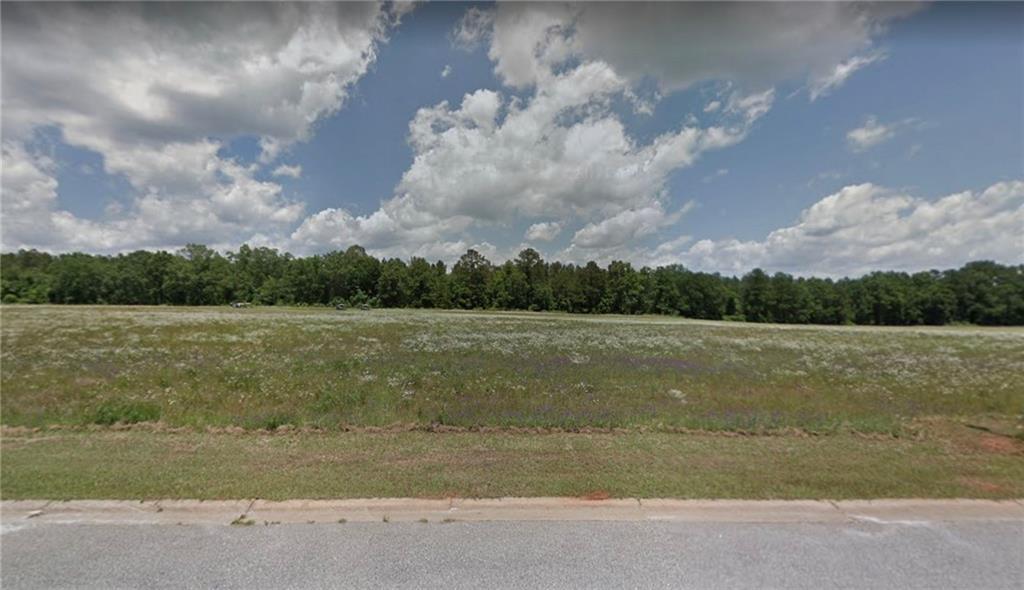 V/l Crabapple Dr., Hawkinsville, GA 31036