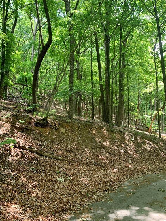 4527 Sassafras Mountain Tr., Jasper, GA 30143