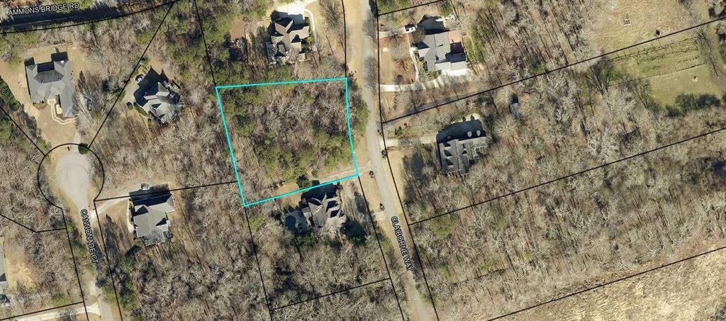 299 Claiborne Way, Monroe, GA 30655