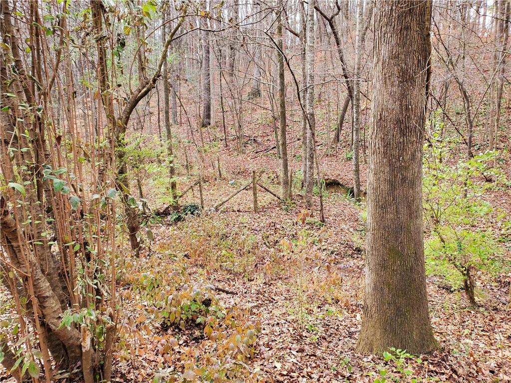 252 Poplar Dr., Jasper, GA 30143