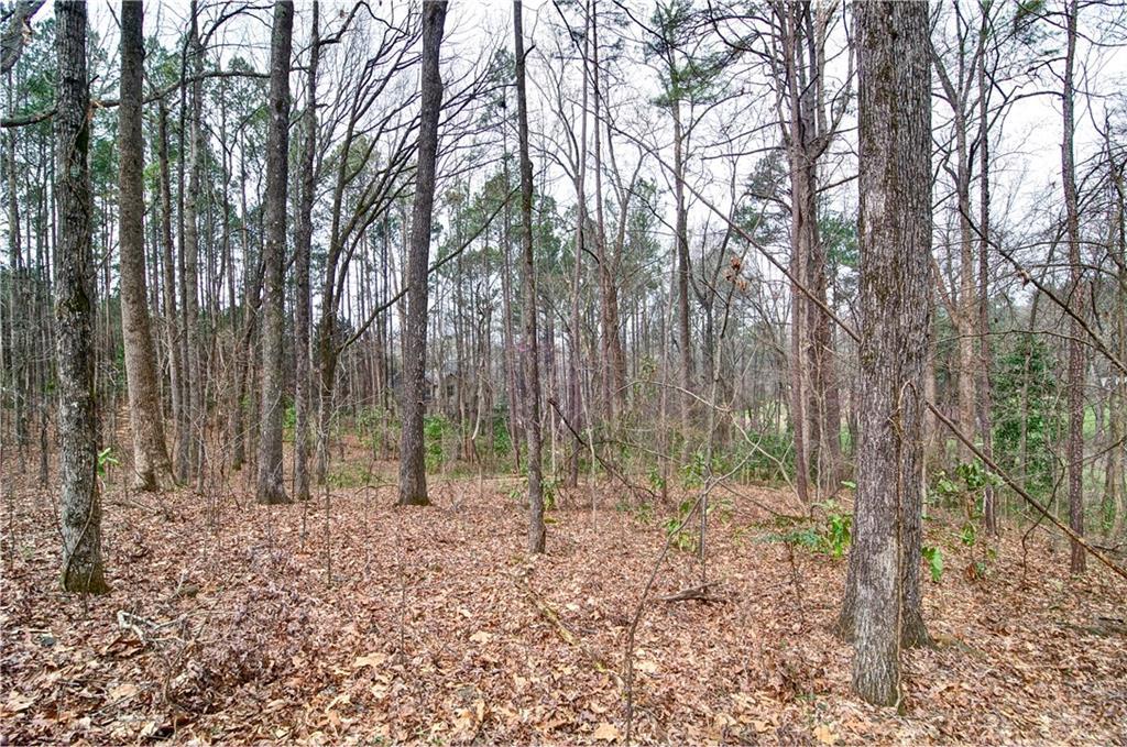 363 Greycoat Bluff, Marietta, GA 30064