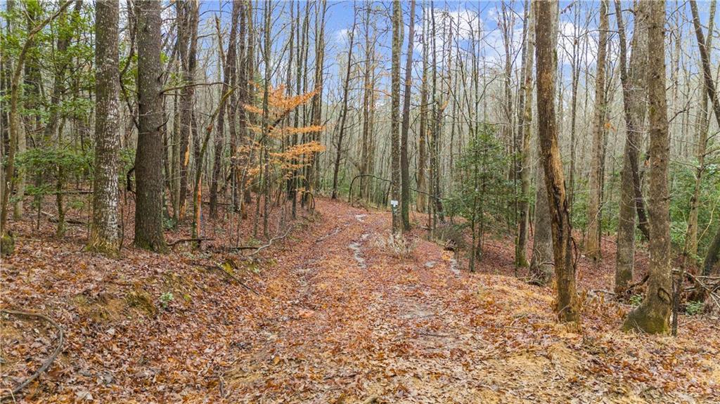 Lot 5 Still Rd, Dahlonega, GA 30533