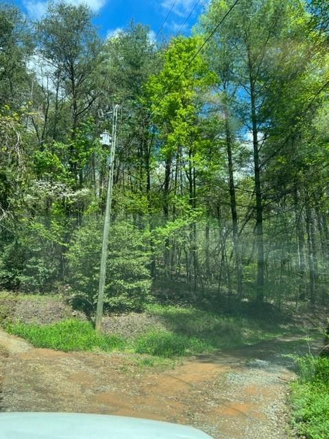 Oscar Ct., Ellijay, GA 30540