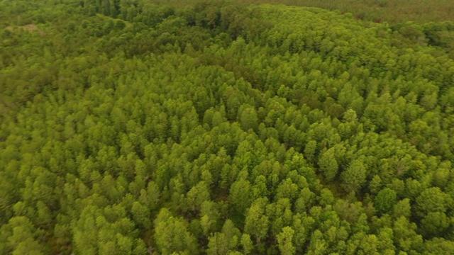 New Homes For Sale This Week in Byromville: June 23rd to June 29th