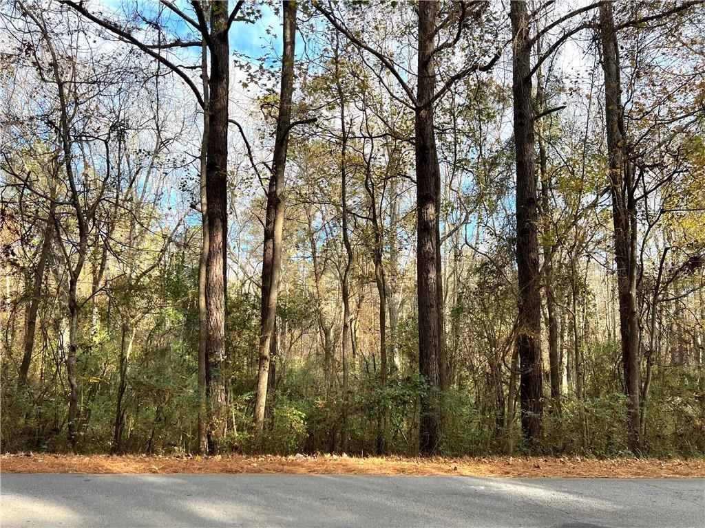 Martin Cemetery Rd., Carrollton, GA 30117