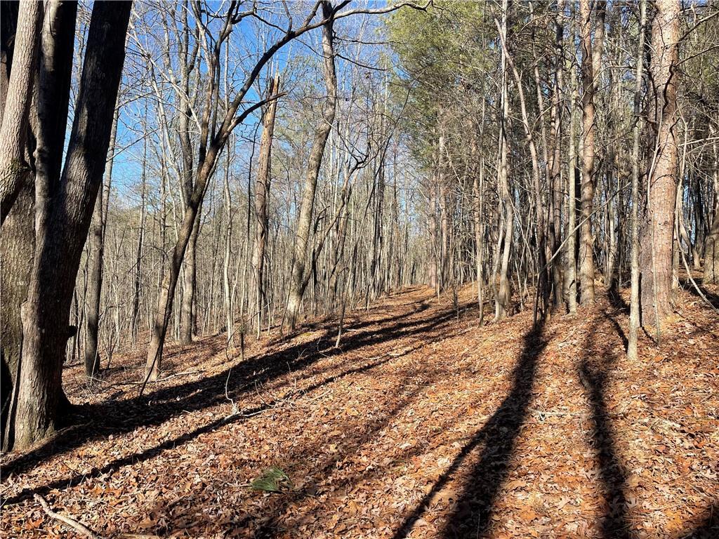 14 Hobson Rd., Jasper, GA 30143