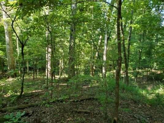 New Homes For Sale This Week in Monticello: April 26th to May 2nd