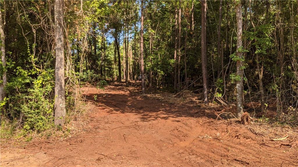 Finney Rd., Jeffersonville, GA 31044