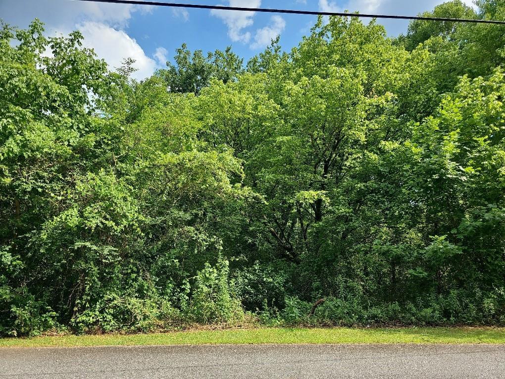 Ivy Dr., Ellijay, GA 30540