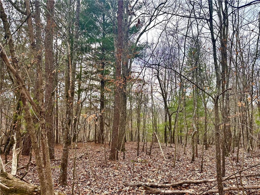 780 Nettle Ln., Ranger, GA 30734