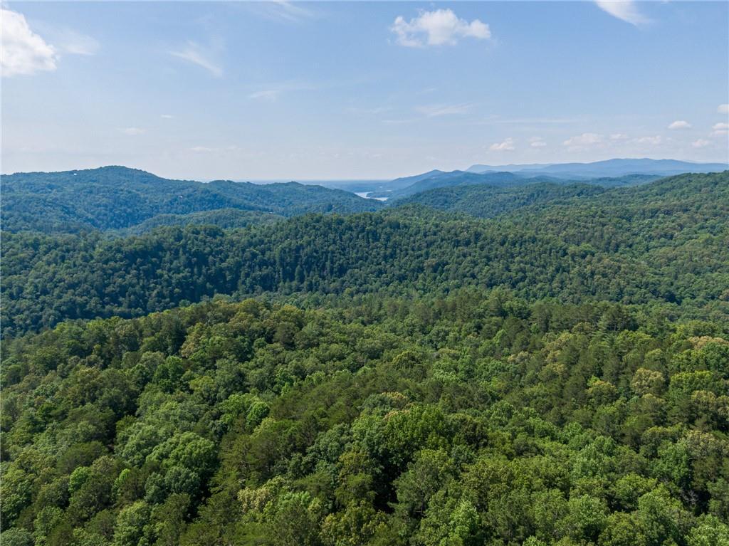 1219 Hilton Dr., Ranger, GA 30734