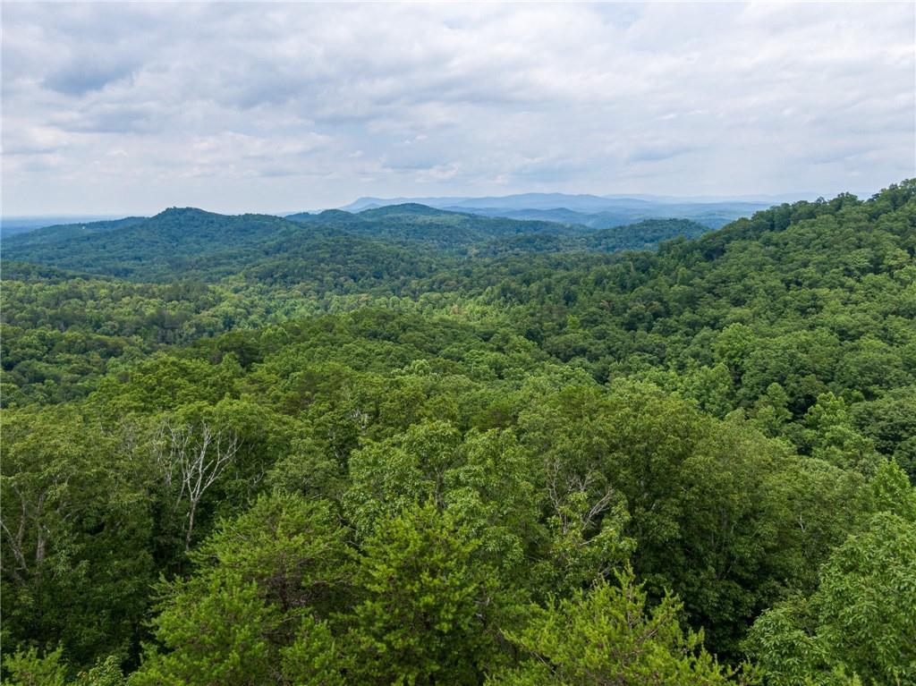 1895 Finale St., Talking Rock, GA 30175
