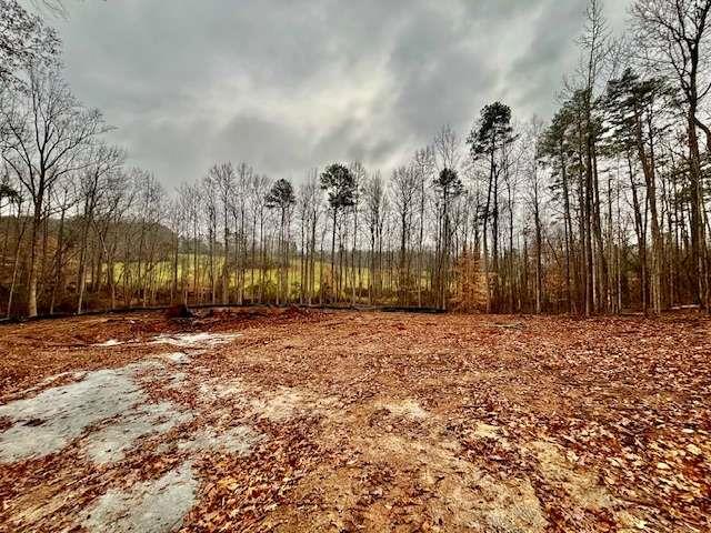 Rue De Cason May, Carnesville, GA 30521