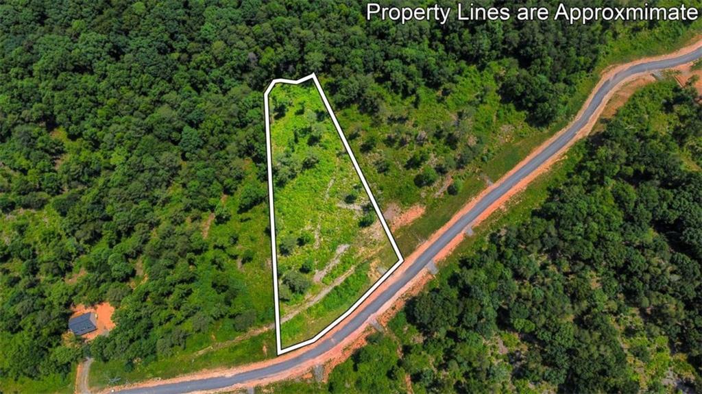 LT 196 Oak Park Dr., Talking Rock, GA 30175