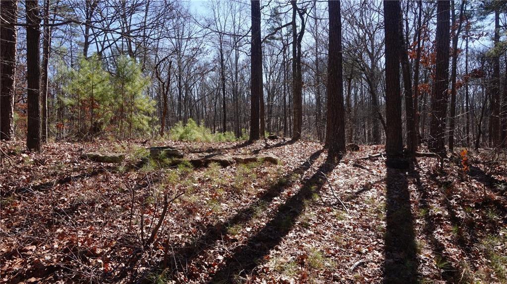 580 Lee Dr., Acworth, GA 30102