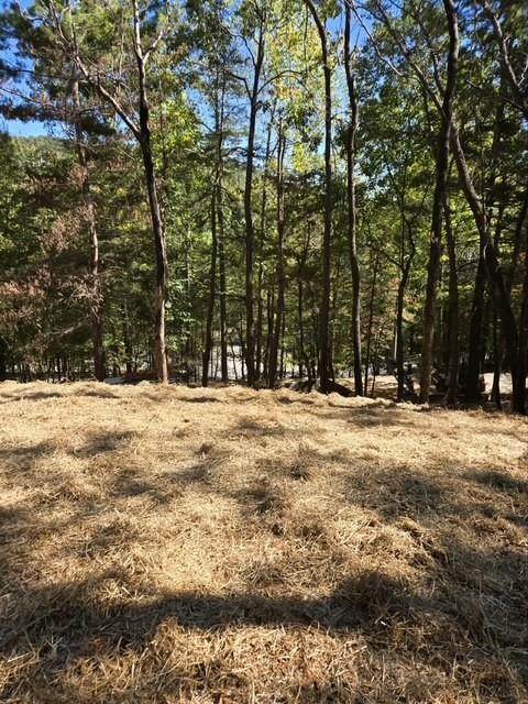 29 Treetopper Ln., Big Canoe, GA 30143