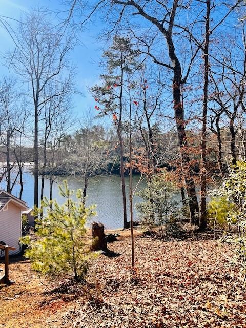 1085 Mountain Shadows Dr Dr., Cleveland, GA 30528