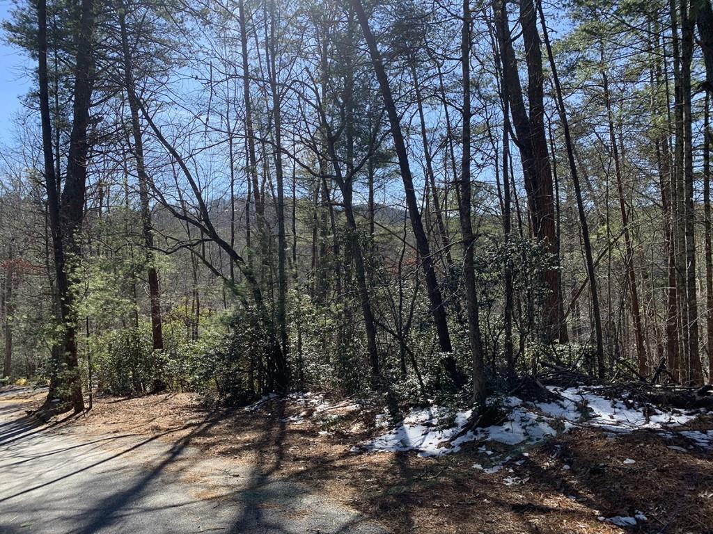Pinecrest Rd., Sautee Nacoochee, GA 30571