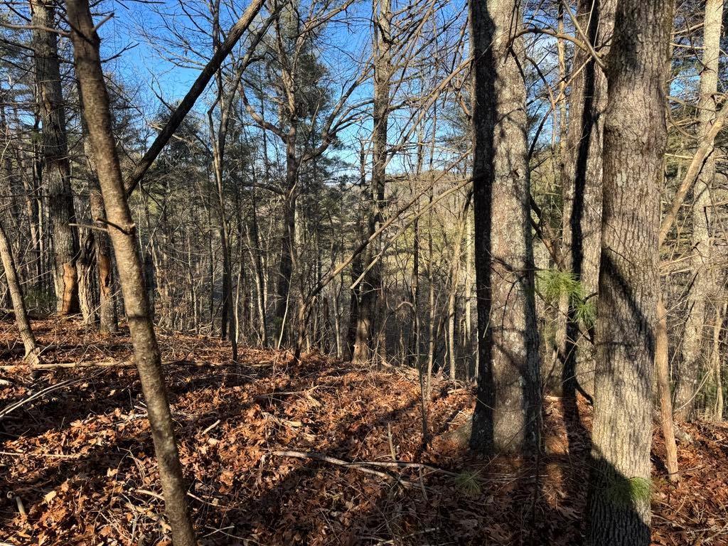 1551 Dorian Ct., Ranger, GA 30734