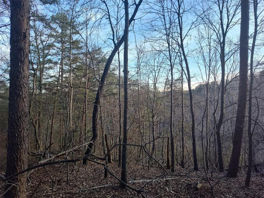 1058 Mayfield Ln., Ranger, GA 30734