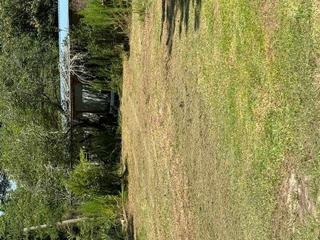 New Homes For Sale This Week in Lyons: January 17th to January 23rd
