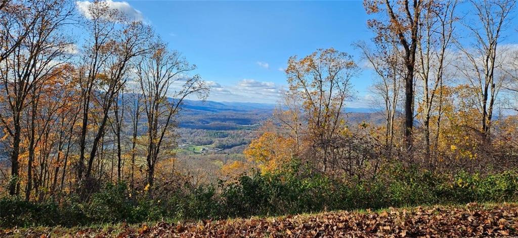 5 Rocky Knob, Young Harris, GA 30582