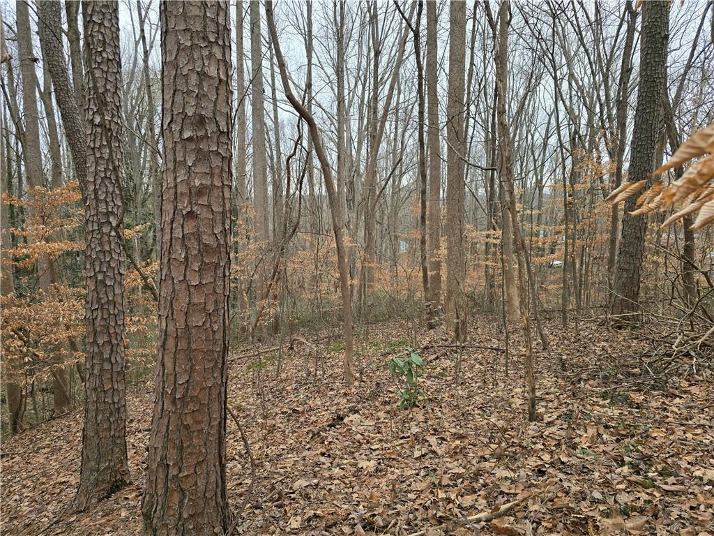 111 Kudzu Tr., Talking Rock, GA 30175