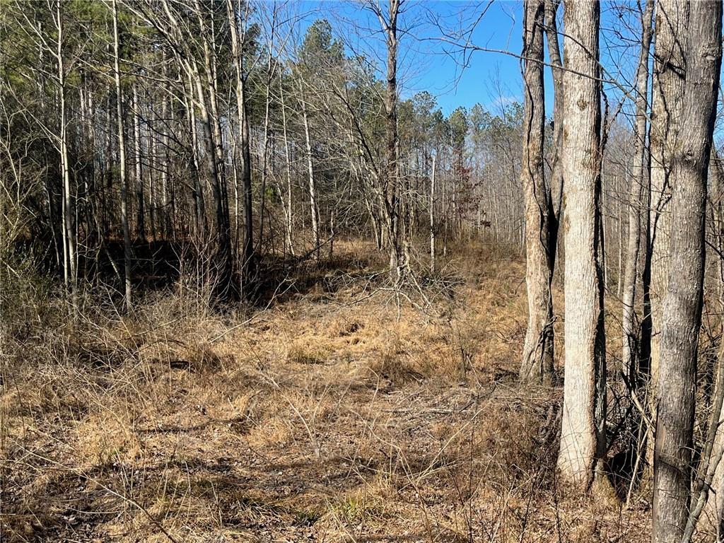 06 Jerusalem Church Rd., Jasper, GA 30143