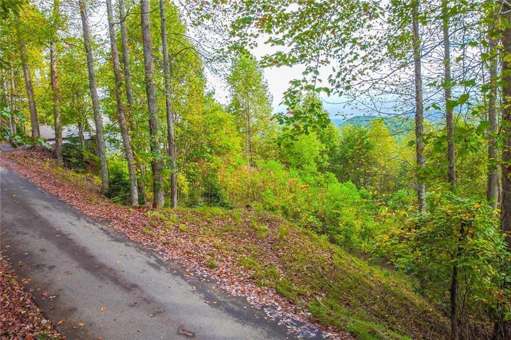 Summit Tr., Hiawassee, GA 30546
