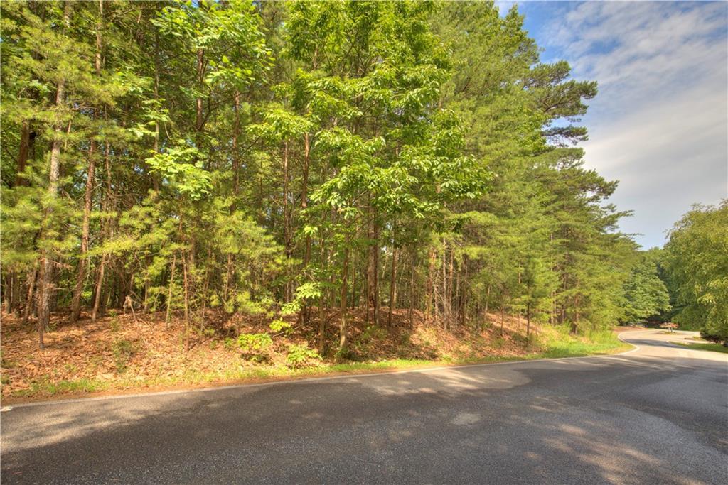 2902 Meadowbrook Ridge, Big Canoe, GA 30143